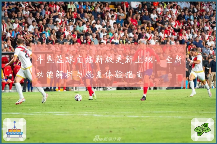 斗鱼篮球直播新版更新上线，全新功能解析与观看体验指南