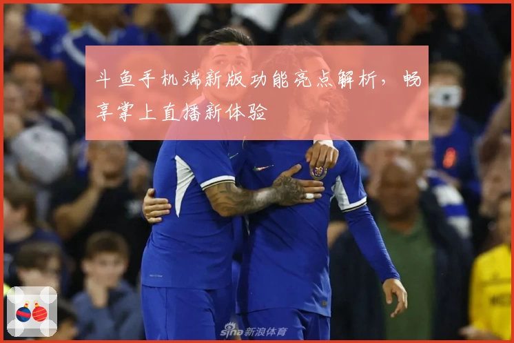 斗鱼手机端新版功能亮点解析，畅享掌上直播新体验