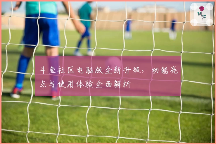 斗鱼社区电脑版全新升级，功能亮点与使用体验全面解析