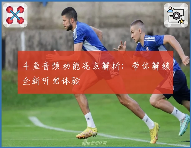 斗鱼音频功能亮点解析:带你解锁全新听觉体验