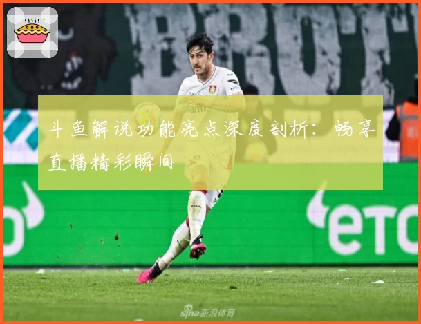 斗鱼解说功能亮点深度剖析：畅享直播精彩瞬间